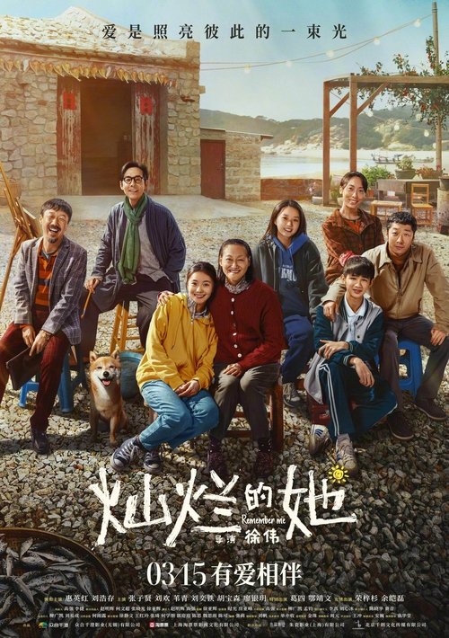 灿烂的她 封面