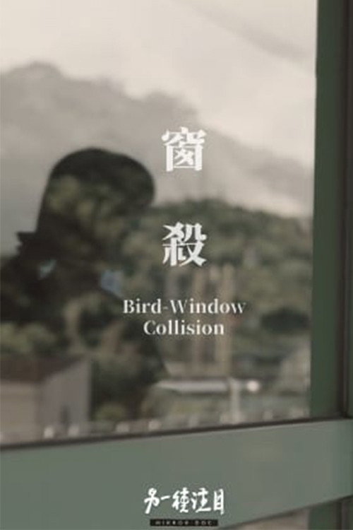 窗殺 封面
