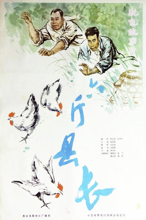 六斤县长 封面