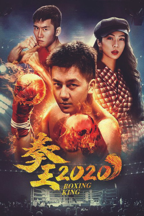 拳王2020 封面