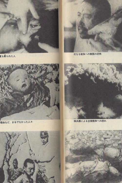 理解与选择 封面