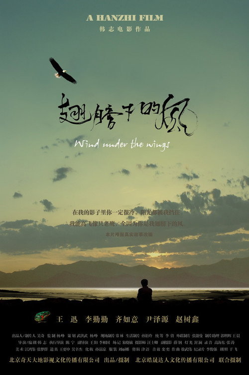 翅膀下的风 封面