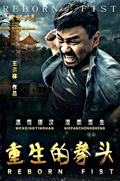 重生的拳头 封面