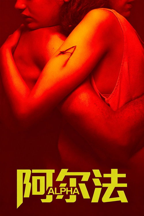 阿尔法 封面