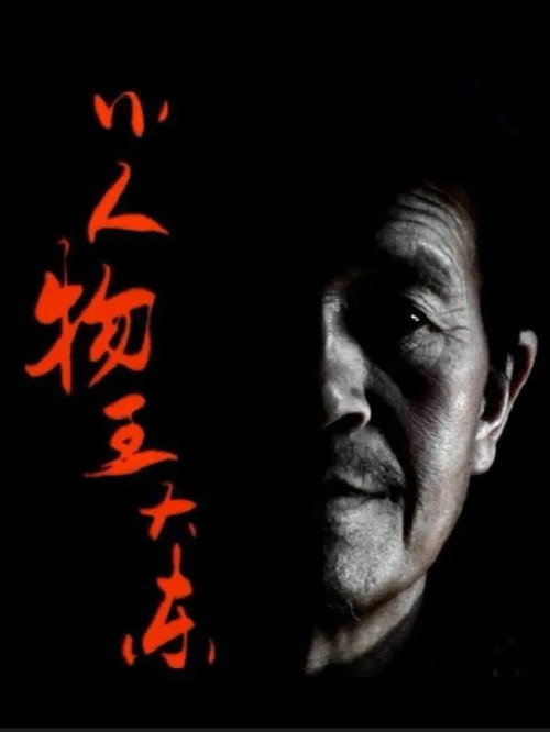 小人物王大东 封面
