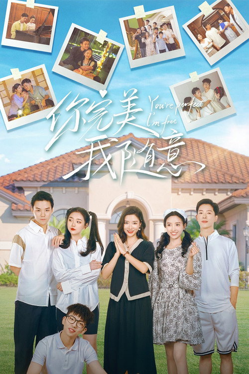 你完美,我随意 封面