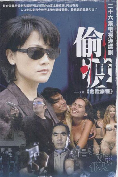 危险旅程 封面