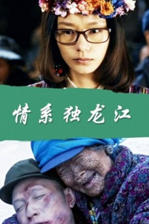 情系独龙江 封面
