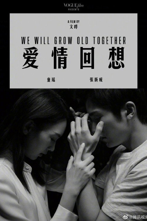 爱情回想 封面