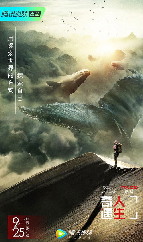 奇遇人生 封面