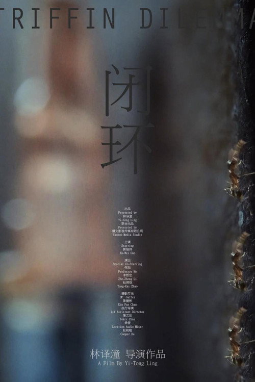 闭环 封面