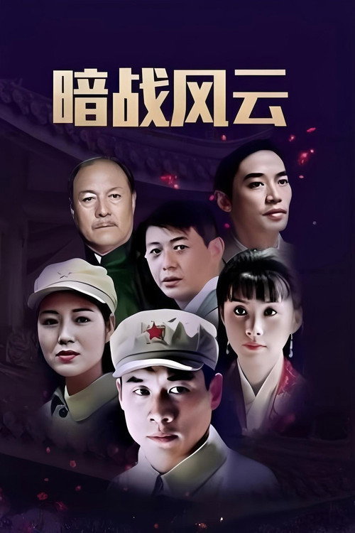 暗战双凤楼 封面