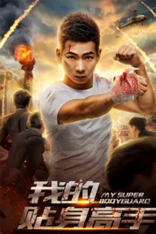 我的贴身高手 封面