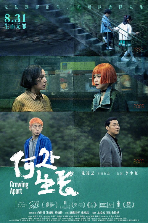 何处生长 封面