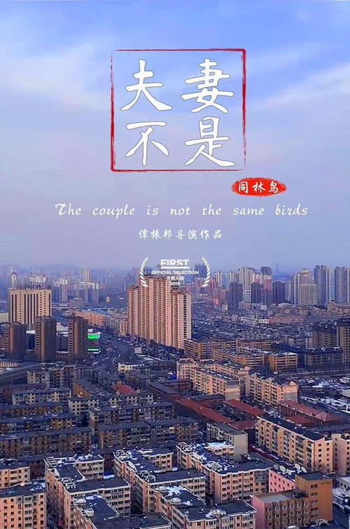 夫妻不是同林鸟 封面