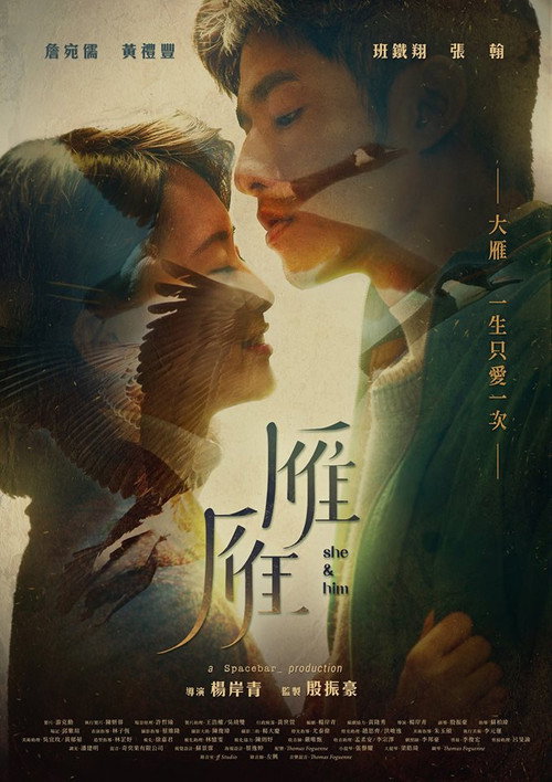 雁雁 封面