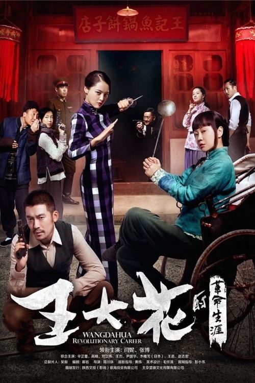 王大花的革命生涯 封面