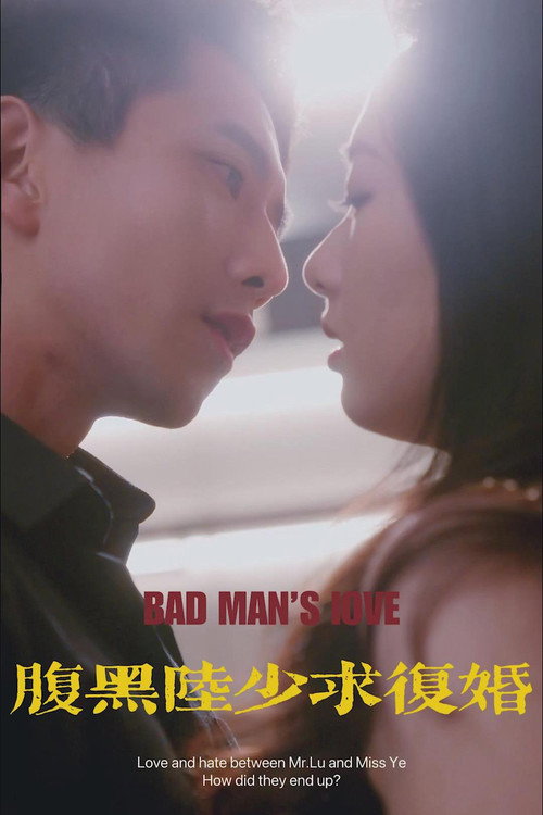 腹黑陆少求复婚 封面