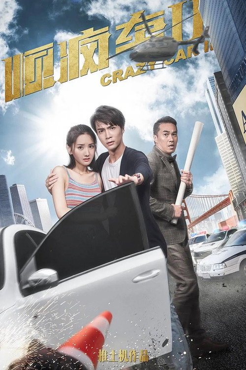 顺疯车2 封面
