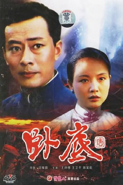 卧底 封面