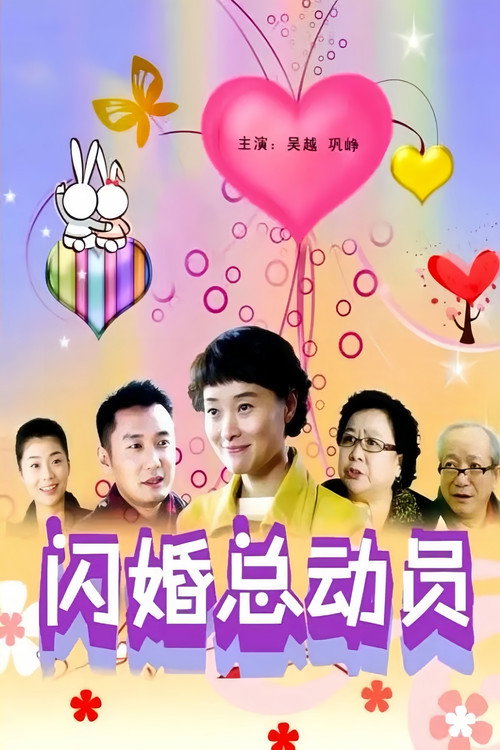 闪婚总动员 封面