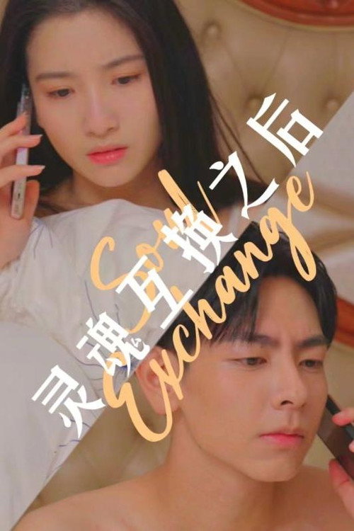 灵魂互换之后 封面