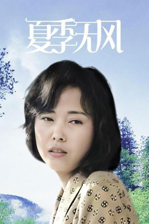 夏季无风 封面