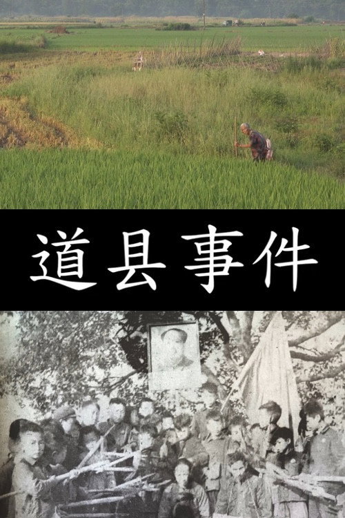 道县事件 封面