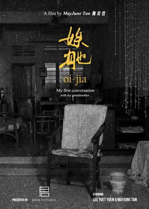 娭毑 封面
