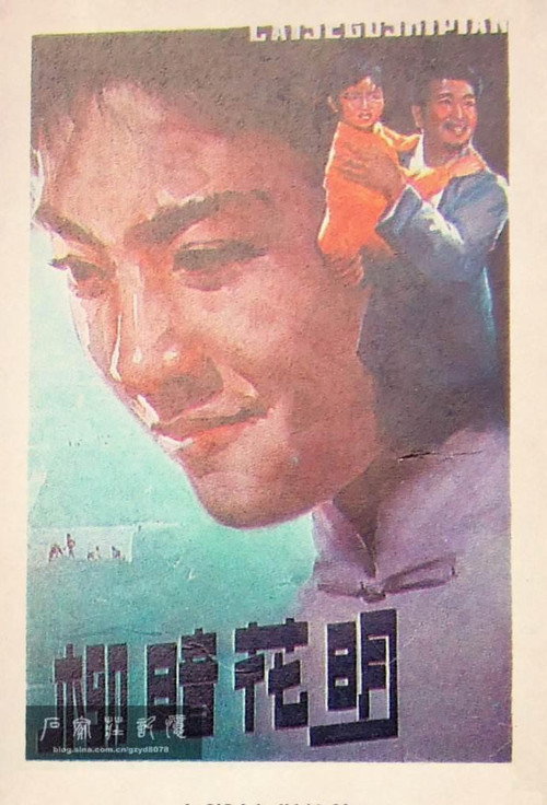 柳暗花明 封面