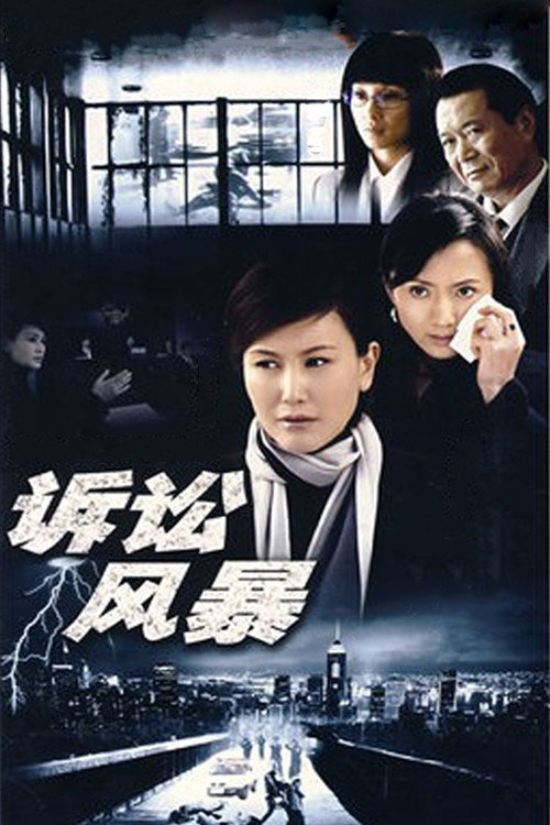 诉讼风暴 封面