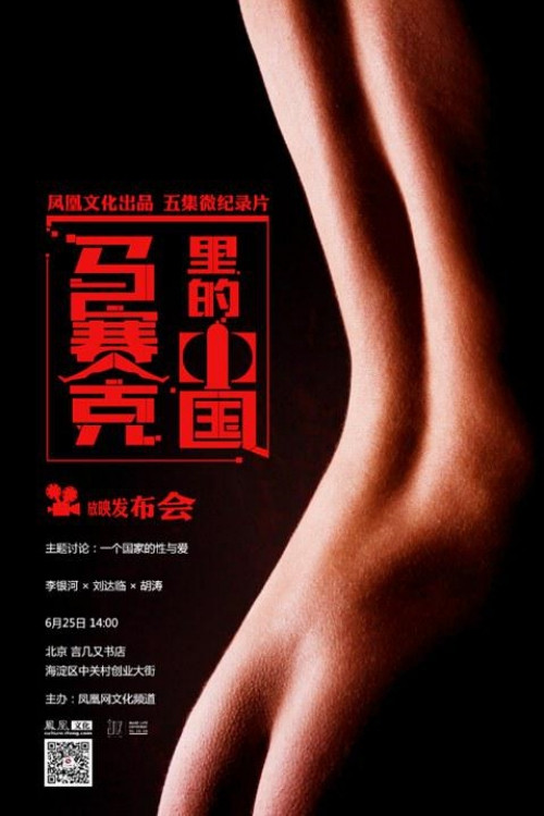 马赛克里的中国 封面