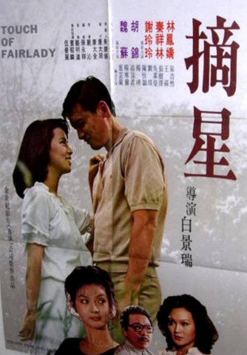 摘星 封面