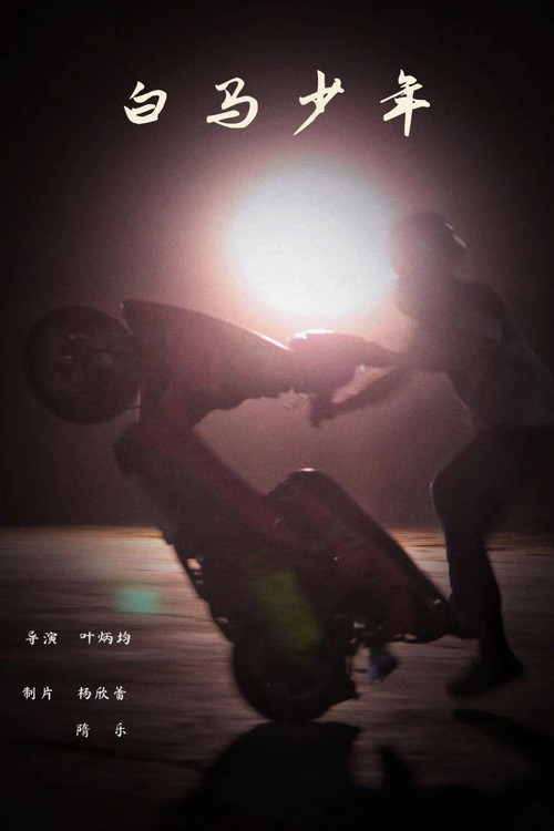 白马少年 封面