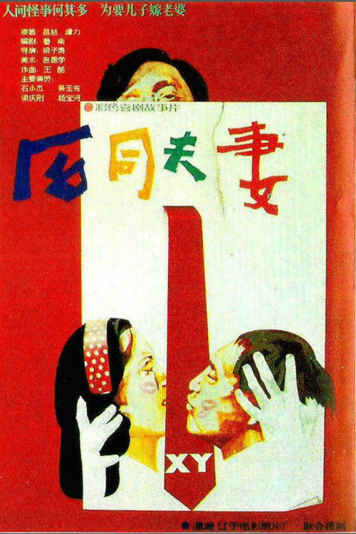 合同夫妻 封面