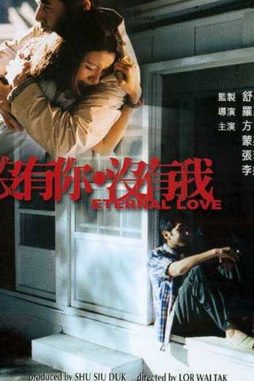 没有你没有我 封面