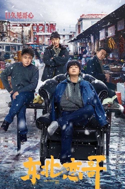 东北恋哥 封面