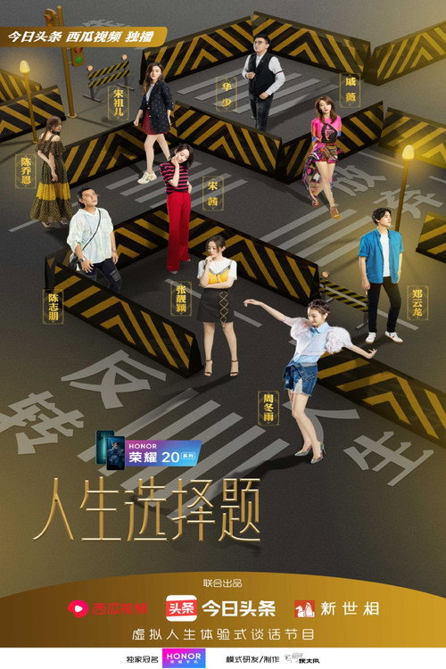 人生选择题 封面