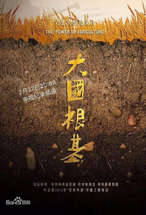 大国根基 封面
