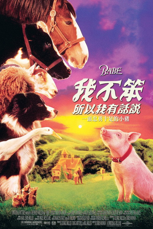 小猪宝贝 封面