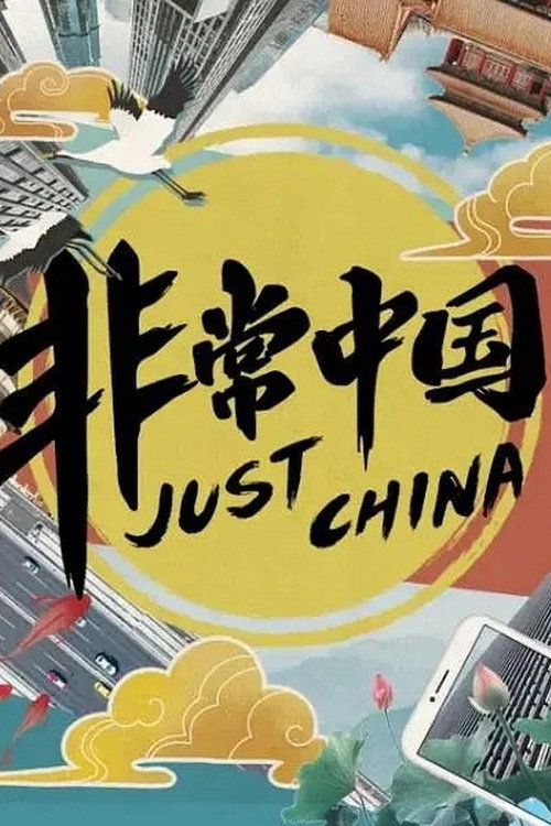 非常中国 封面