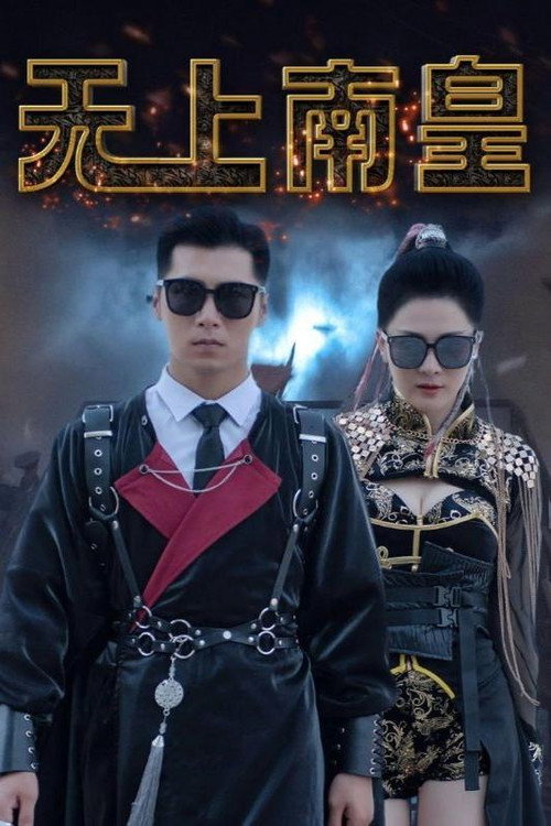 无上南皇 封面