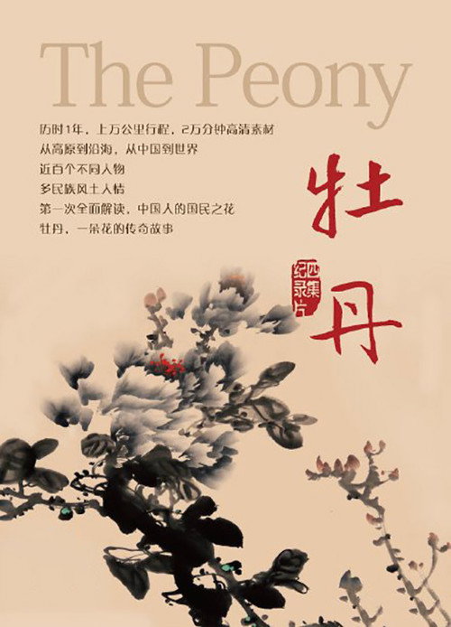 牡丹 封面