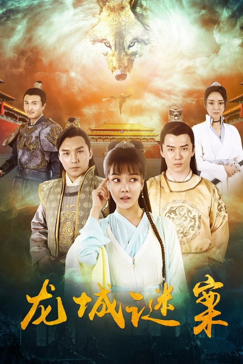 龙城谜案 封面