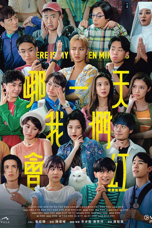 哪一天我们会红 封面