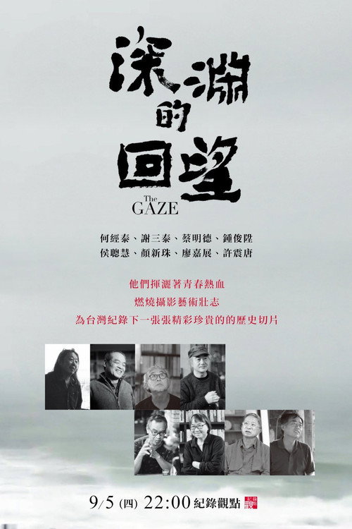 深淵的回望 封面