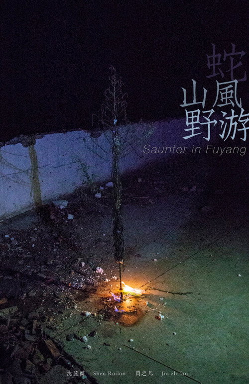 蛇,山风,野游 封面