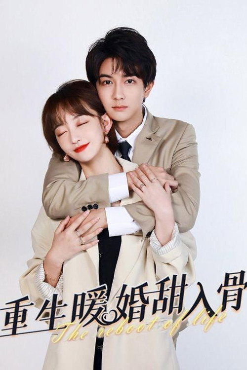 重生暖婚甜入骨 封面