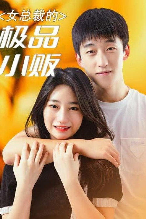 女总裁的极品小贩 封面