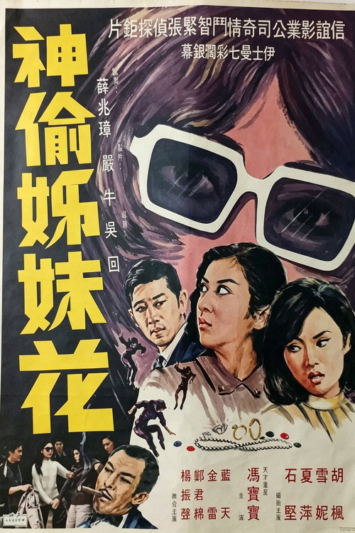 神偷姊妹花 封面